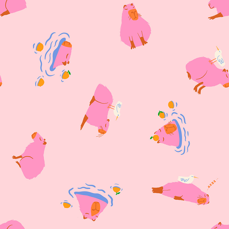 Capybara in Cotton Candy - Animal Animal Collaborative Collection