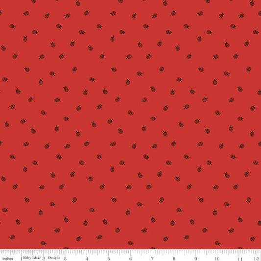 Red Hot Red Ladybugs - Riley Blake Designs