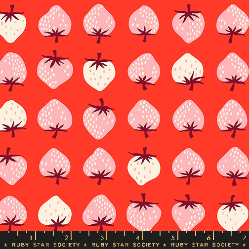 Strawberry in Lollipop - Strawberry Collection by Kimberly Kight