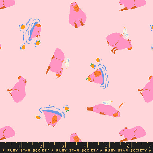 Capybara in Cotton Candy - Animal Animal Collaborative Collection