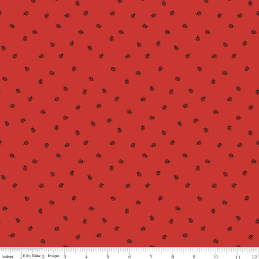 Red Hot Red Ladybugs - Riley Blake Designs